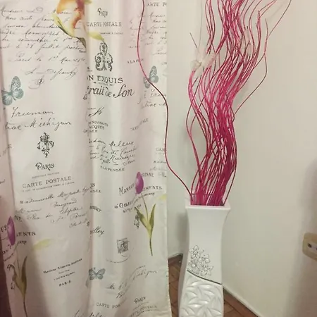 Apartman Stipe * Zara